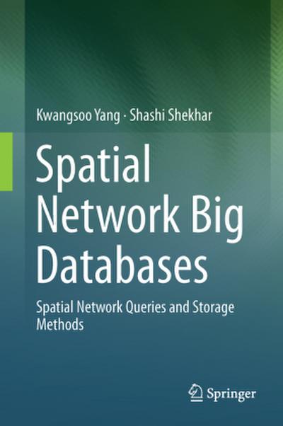 Spatial Network Big Databases
