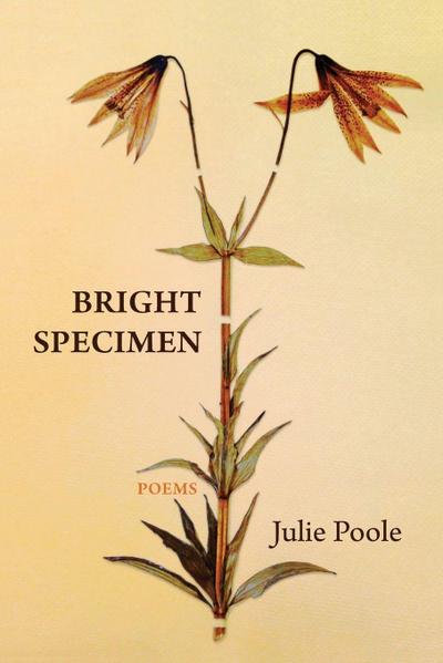 Bright Specimen
