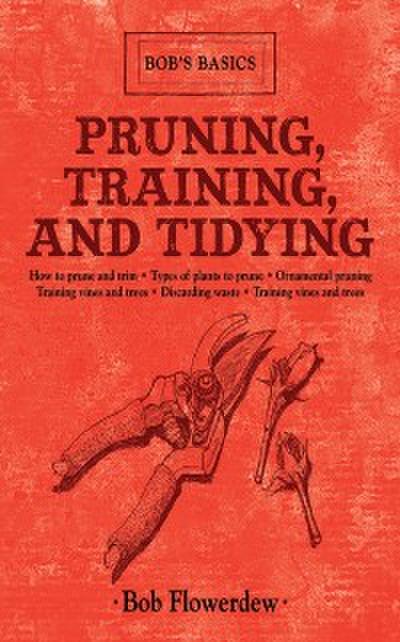 Pruning, Training, and Tidying