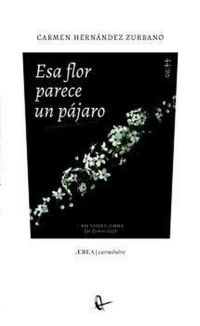 Esa flor parece un pájaro