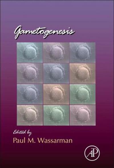 Gametogenesis