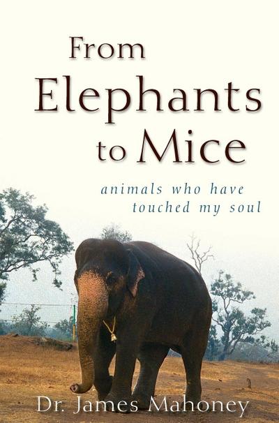 From Elephants to Mice