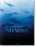 Michael Muller. Sharks. Face-to-Face with the Oceans Endangered Predator