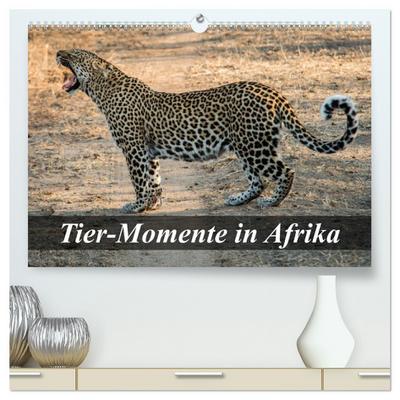Tier-Momente in Afrika (hochwertiger Premium Wandkalender 2024 DIN A2 quer), Kunstdruck in Hochglanz