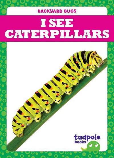 I See Caterpillars