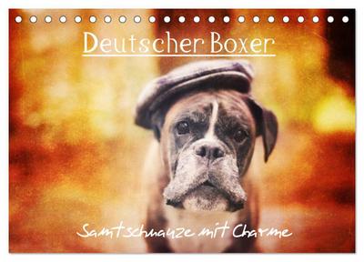 Deutscher Boxer (Tischkalender 2026 DIN A5 quer), CALVENDO Monatskalender