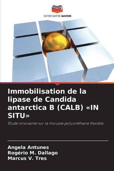 Immobilisation de la lipase de Candida antarctica B (CALB) ’IN SITU’