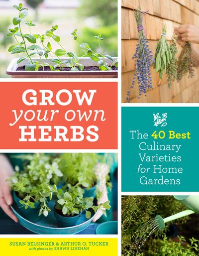 Grow Your Own Herbs