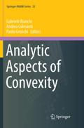 Analytic Aspects of Convexity