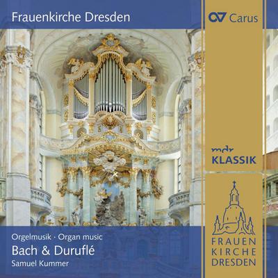 Kummer, S: Orgelmusik an der Frauenkirche Dresden