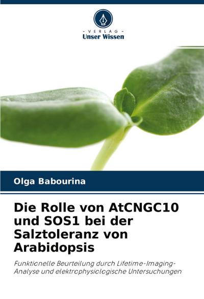 Die Rolle von AtCNGC10 und SOS1 bei der Salztoleranz von Arabidopsis