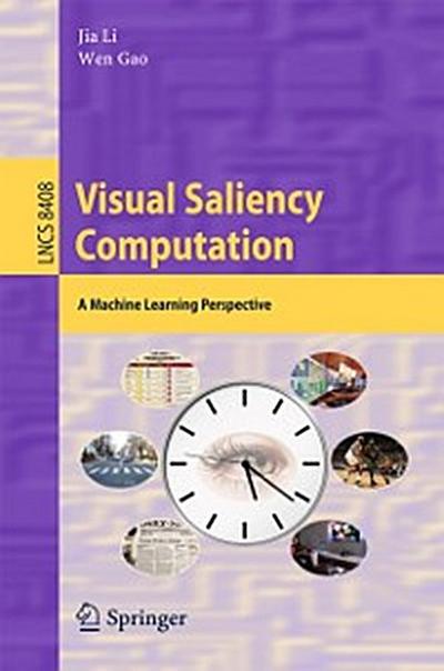 Visual Saliency Computation