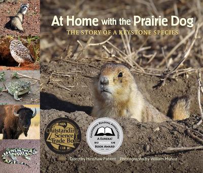 Patent, D: At Home with the Prairie Dog