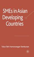 SMEs in Asian Developing Countries