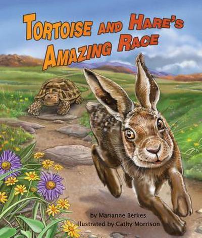 Tortoise and Hare’s Amazing Race