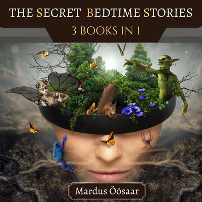 The Secret Bedtime Stories (Preschool Educational Picture Books, #3)