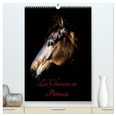 Chevaux en Portraits  (Calendrier mural 2026 DIN A2 horizontal) calendrier de bureau