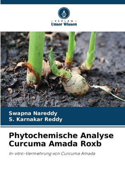 Phytochemische Analyse Curcuma Amada Roxb