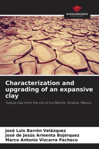 Characterization and upgrading of an expansive clay