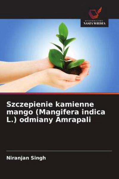 Szczepienie kamienne mango (Mangifera indica L.) odmiany Amrapali