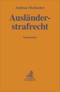 Ausländerstrafrecht