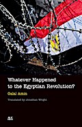 Whatever Happened to the Egyptian Revolution?