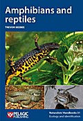 Amphibians and reptiles