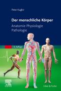 Der menschliche Körper