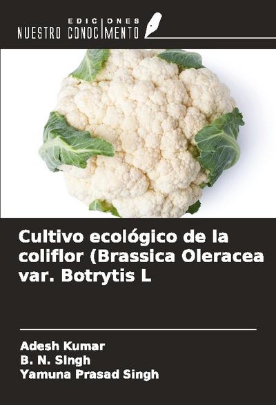 Cultivo ecológico de la coliflor (Brassica Oleracea var. Botrytis L