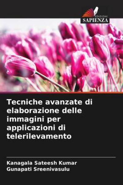 Tecniche avanzate di elaborazione delle immagini per applicazioni di telerilevamento