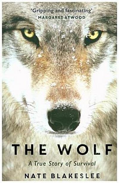 The Wolf