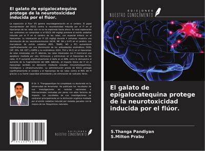 El galato de epigalocatequina protege de la neurotoxicidad inducida por el flúor.
