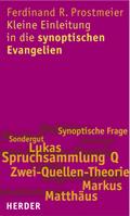 Kleine Einleitung in die synoptischen Evangelien