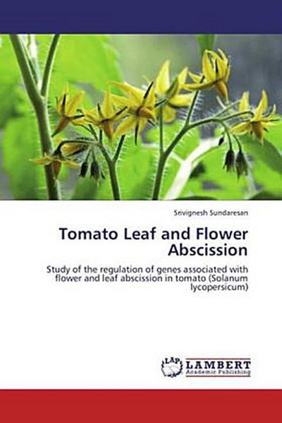 Tomato Leaf and Flower Abscission