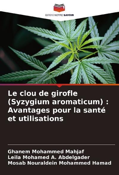 Le clou de girofle (Syzygium aromaticum) : Avantages pour la santé et utilisations