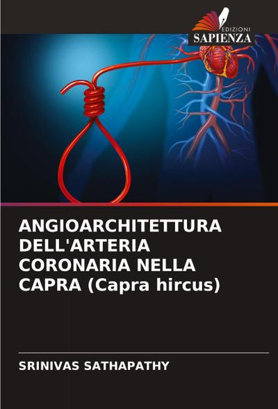 ANGIOARCHITETTURA DELL’ARTERIA CORONARIA NELLA CAPRA (Capra hircus)