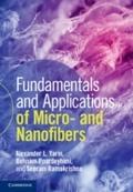 Fundamentals and Applications of Micro- and Nanofi