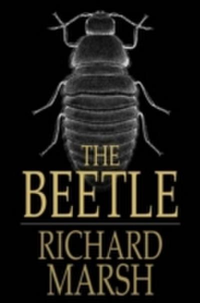 Beetle