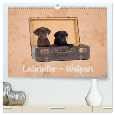 Labrador - Welpen (hochwertiger Premium Wandkalender 2024 DIN A2 quer), Kunstdruck in Hochglanz
