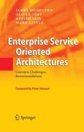 Enterprise Service Oriented Architectures