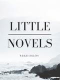 Little Novels