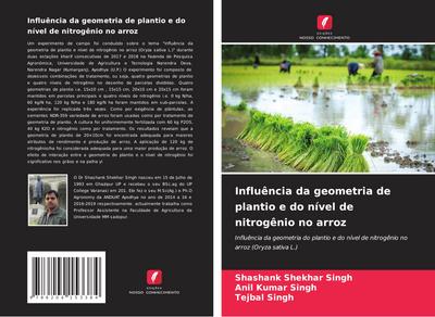 Influência da geometria de plantio e do nível de nitrogênio no arroz