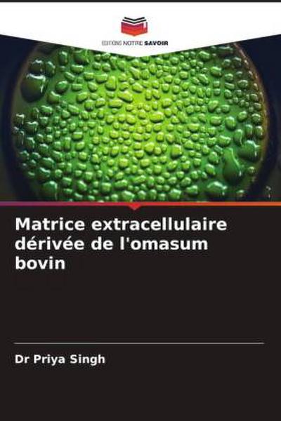 Matrice extracellulaire dérivée de l’omasum bovin