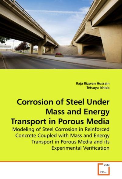 Corrosion of Steel Under Mass and Energy Transport in Porous Media