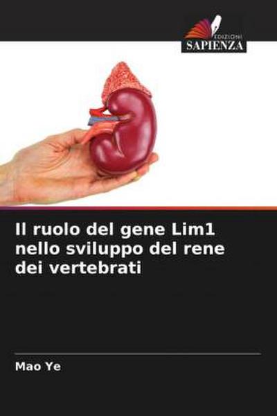 Il ruolo del gene Lim1 nello sviluppo del rene dei vertebrati