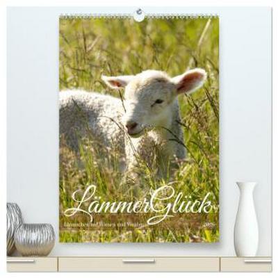 Lämmerglück (hochwertiger Premium Wandkalender 2026 DIN A2 hoch), Kunstdruck in Hochglanz