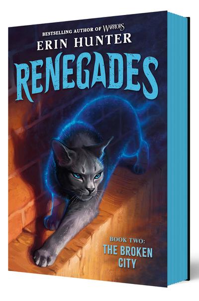 Renegades: The Broken City