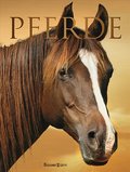 Pferde: Pflege und Haltung . Reittechniken . Rassen