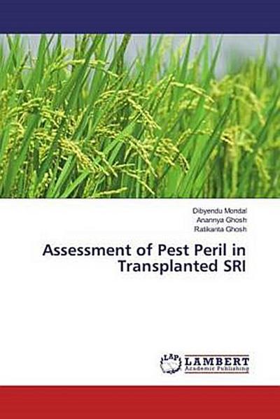 Assessment of Pest Peril in Transplanted SRI