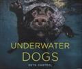 Underwater Dogs